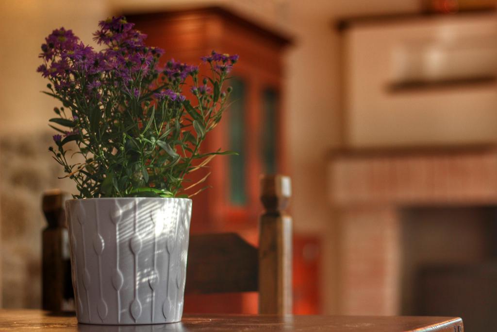 Country House Cozzena Maslianico Dış mekan fotoğraf