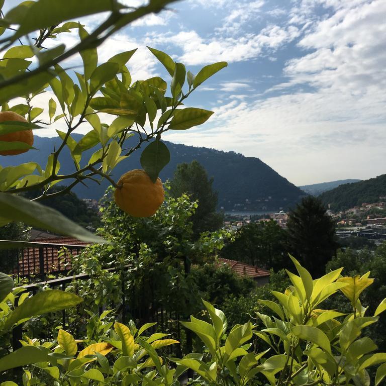 Country House Cozzena Maslianico Dış mekan fotoğraf